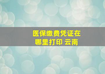 医保缴费凭证在哪里打印 云南